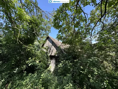 5-Zimmer-Haus kaufen in Mistelbach – 154 m², € 449.000 – Bild 6 von 58