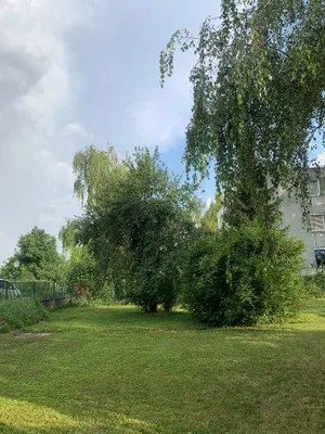 Grundstück kaufen in Korneuburg – 367 m², € 311.950 – Bild 9 von 12