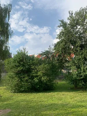 Grundstück kaufen in Korneuburg – 367 m², € 311.950 – Bild 8 von 12