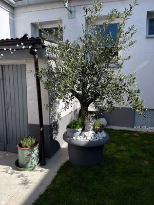 3-Zimmer-Haus kaufen in Eisenstadt - Umgebung – 140 m², € 279.000 – Bild 9 von 33