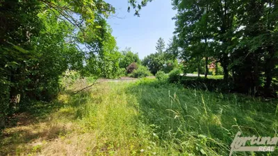 Grundstück kaufen in Mödling – 3 029 m², € 799.000 – Bild 4 von 10