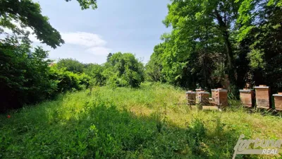 Grundstück kaufen in Mödling – 3 029 m², € 799.000 – Bild 3 von 10