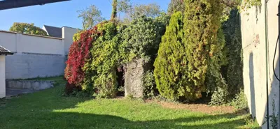 Haus kaufen in Hollabrunn – 3 383 m², € 159.000 – Bild 23 von 33