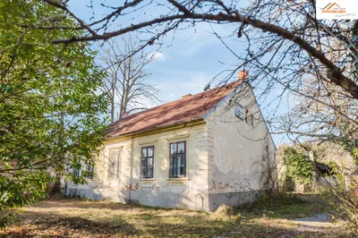 Grundstück kaufen in Neunkirchen – 3 690 m², € 449.000 – Bild 4 von 8