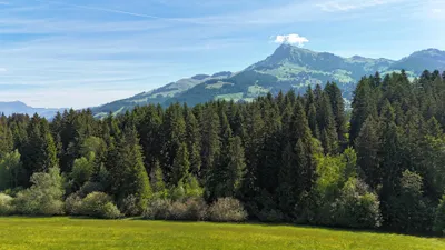 Haus kaufen in Kitzbühel – 252 m² – Bild 9 von 10