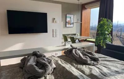 1-Zimmer-Wohnung kaufen in Leibnitz – 71 m² – Bild 19 von 32