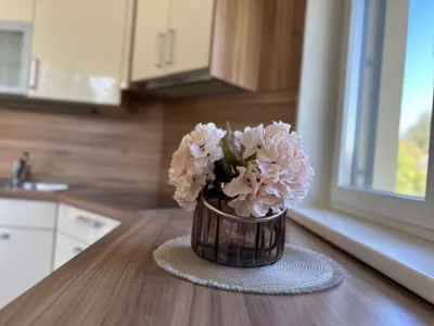 3-Zimmer-Haus mieten in Leibnitz – 85 m², € 1.195 – Bild 6 von 22