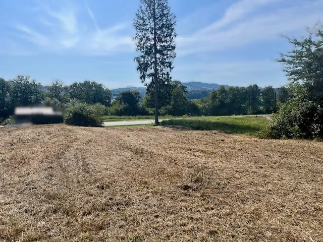 Wettmannstätten: Großzügiges leicht hanglagiges Baugrundstück nahe des Waldschachersees