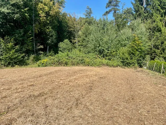 Wettmannstätten: Großzügiges leicht hanglagiges Baugrundstück nahe des Waldschachersees - Ansicht 3