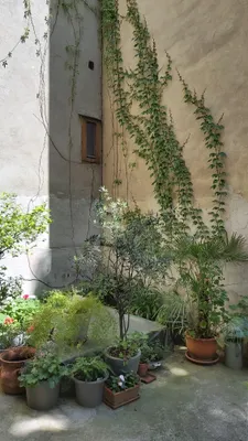 3-Zimmer-Wohnung kaufen in Wien – 105 m², € 449.000 – Bild 41 von 59