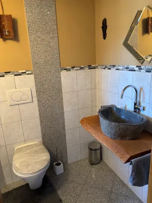 Immobilie kaufen in Grieskirchen – 280 m² – Bild 7 von 14