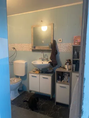 3-Zimmer-Haus mieten in Wolfsberg – 70 m², € 690 – Bild 7 von 10