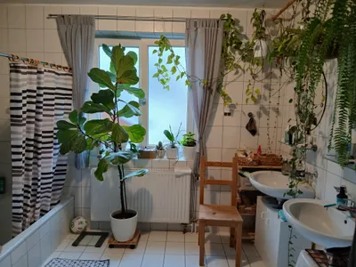6-Zimmer-Haus kaufen in Perg – 210 m², € 450.000 – Bild 9 von 14