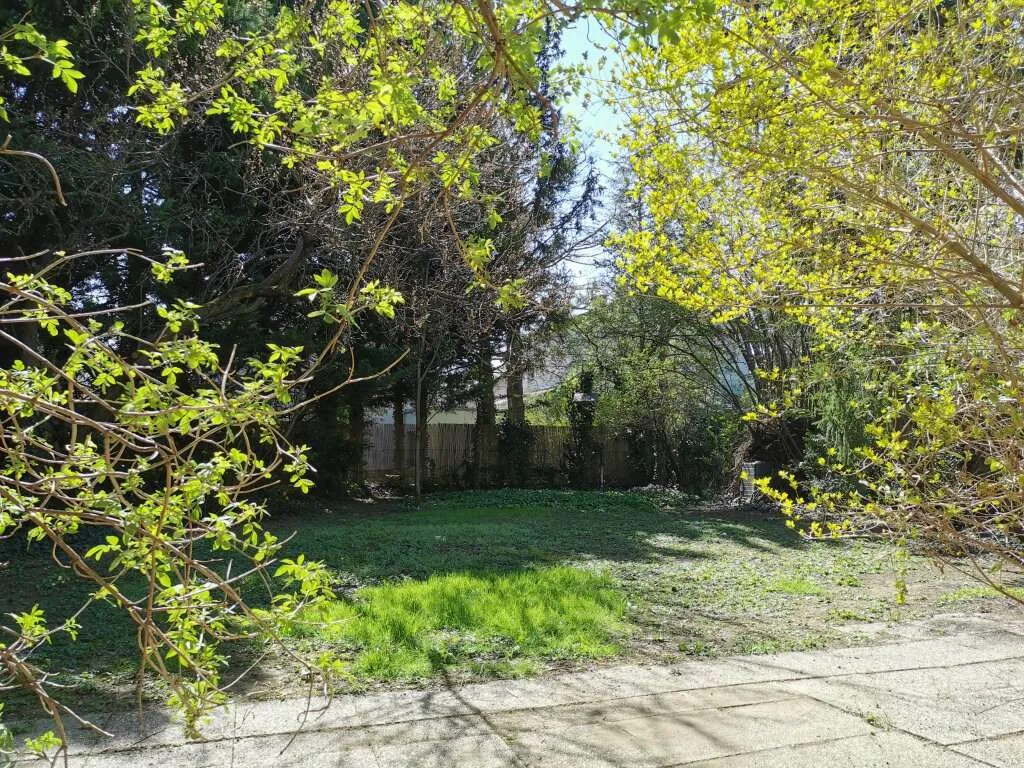 Einfamilienhaus mit 6 Zimmern und südseitigem Wintergarten - Ansicht 3