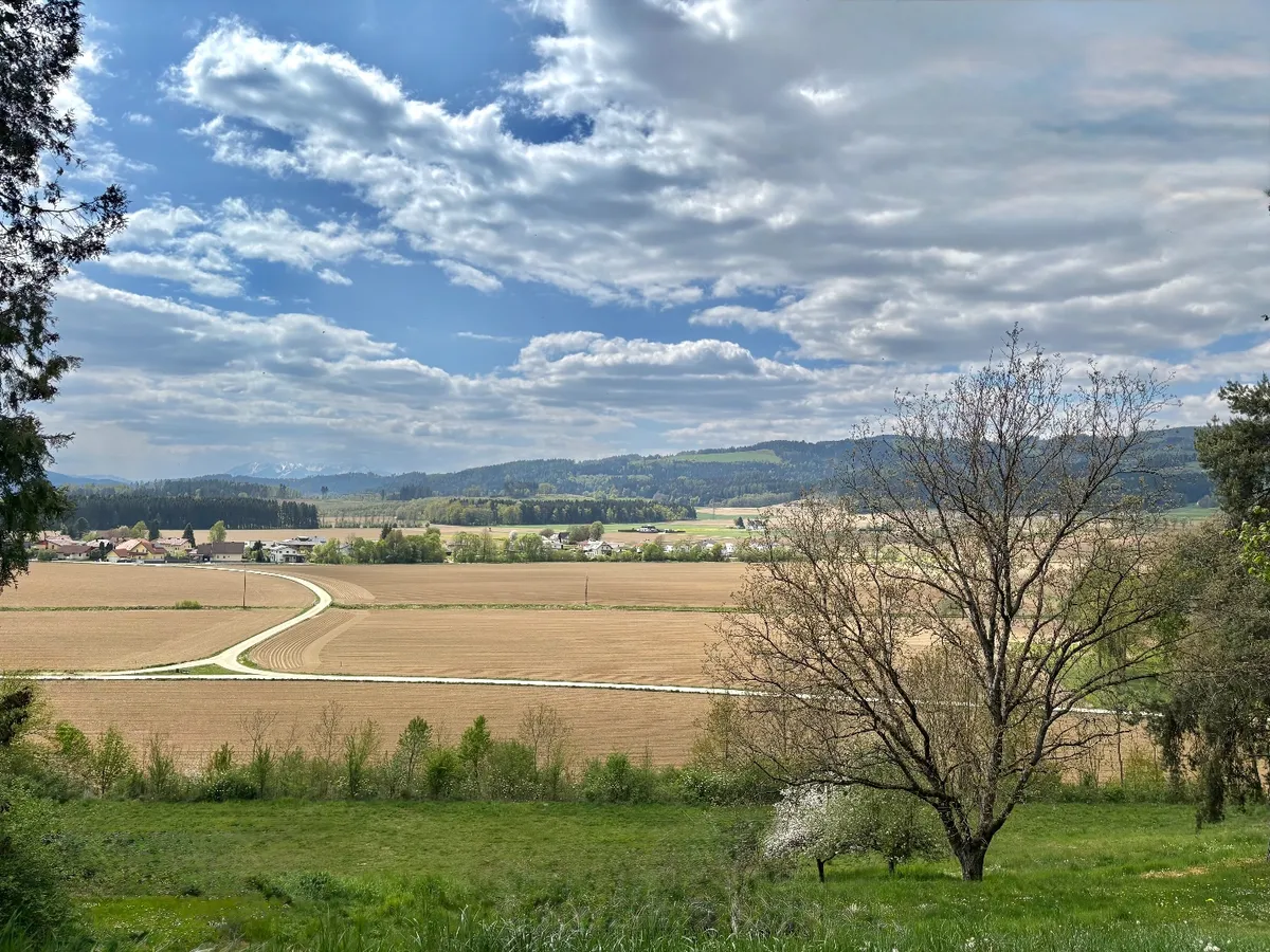 Exklusives Baugrundstück in Top-Lage, Wolfsberg nähe Schloss Weißenau - Sonne, Ruhe & perfekte Größe – pohled 2