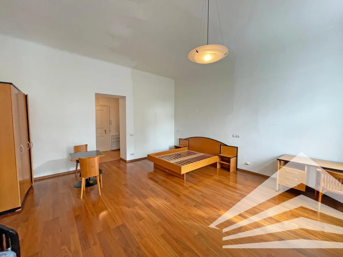 Großzügige 1 Zimmerwohnung in bester Lage in Linz-Urfahr! - Ansicht 3