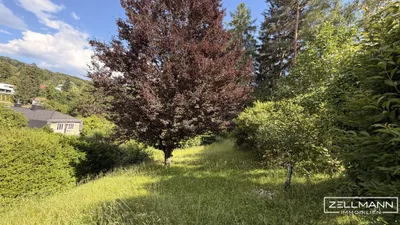 Grundstück kaufen in Sankt Pölten Land – 4 242 m², € 1.495.000 – Bild 4 von 7