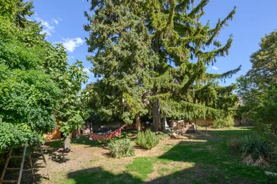 10-Zimmer-Gewerbeimmobilie kaufen in Wiener Neustadt – 300 m², € 849.900 – Bild 13 von 18