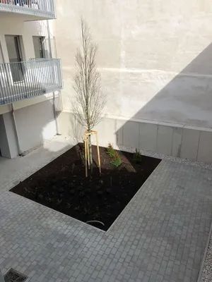 Wohnung mieten in Eisenstadt – 68 m², € 1.090 – Bild 2 von 23
