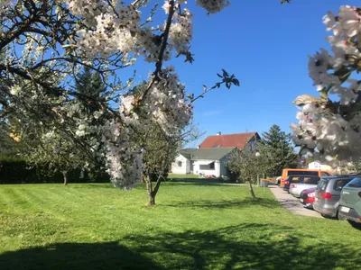 1-Zimmer-Wohnung mieten in Waidhofen an der Thaya – 75 m², € 550