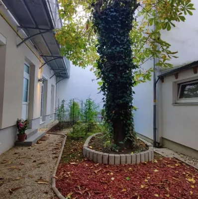 Wohnung mieten in Wien – 35 m², € 471 – Bild 9 von 13