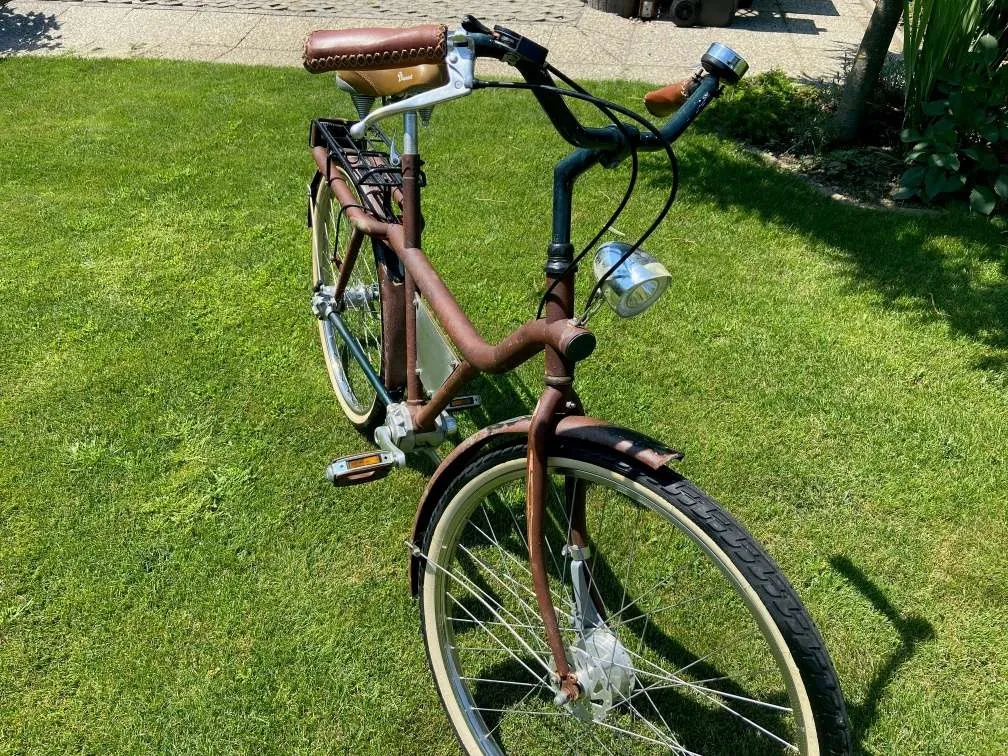 gebrauchtes trekking fahrrad kaufen Advanced Pro Wave E-Bike Gebraucht | Generalüberholt Sonstige Gebrannte Nüsse Farbe:14. Orchid Firma Fahrrad Ranzinger in