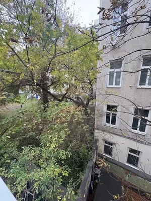 Nähe Augarten - Einfach ausgestatte, unbefristete Singlewohnung in Althaus - Sofortbezug – Bild 3