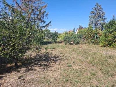 Grundstück kaufen in Wiener Neustadt Land – 800 m², € 240.000 – Bild 2 von 5