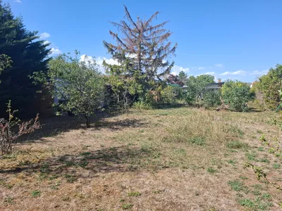Grundstück kaufen in Wiener Neustadt Land – 800 m², € 240.000