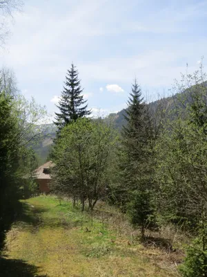 Immobilie kaufen in Murtal – 1 123 m² – Bild 5 von 6
