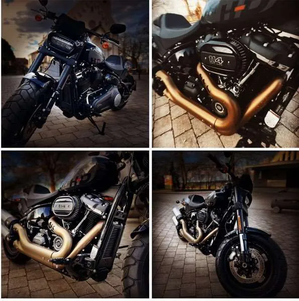 Harley-Davidson Softail