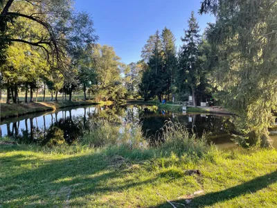 Immobilie mieten in Linz Land – 4 143 m²