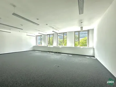 Gewerbeimmobilie mieten in Wien – 337 m², € 17 – Bild 2 von 11