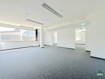 Gewerbeimmobilie mieten in Wien – 337 m², € 17 – Bild 3 von 11