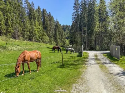 Haus kaufen in Weiz – 190 m², € 990.000 – Bild 60 von 106