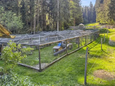 Haus kaufen in Weiz – 190 m², € 990.000 – Bild 65 von 106