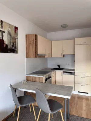 1-Zimmer-Wohnung mieten in Baden – 37 m², € 595 – Bild 4 von 13