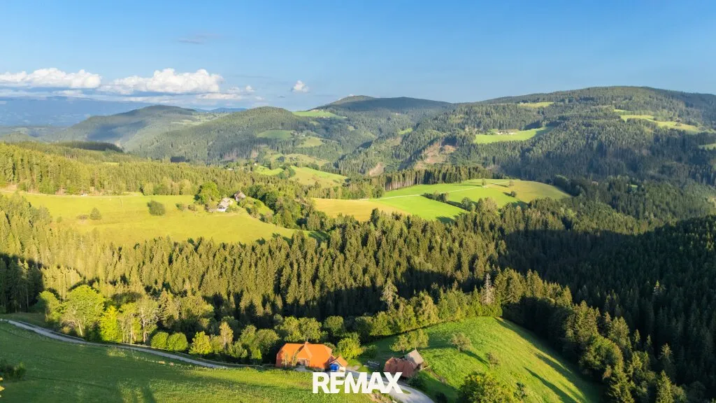 Rund 17 Hektar Freiheit - ein eigener Besitz von seltener Größe, eingebettet in die Kärntner Natur - Ansicht 2