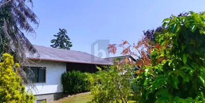 4-Zimmer-Haus kaufen in Wiener Neustadt Land – 110 m², € 350.000 – Bild 1 von 6