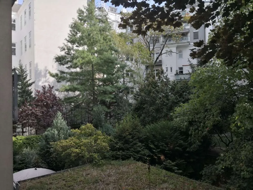 Furnished 2.5-room apartment in 1080 Vienna (all-inclusive with Internet) - Ansicht 3