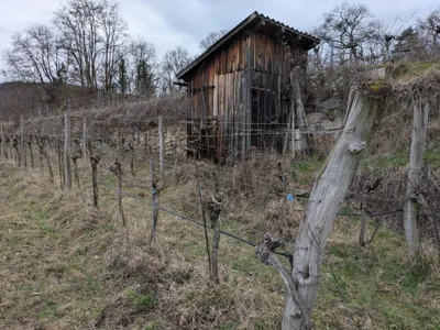 Grundstück kaufen in Krems an der Donau – 1 622 m², € 40.000 – Bild 6 von 8