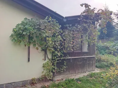 6-Zimmer-Gewerbeimmobilie kaufen in Perg – 137 m², € 320.000 – Bild 12 von 77