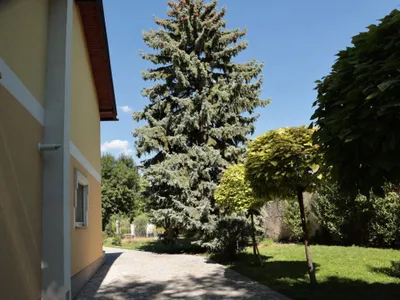 5-Zimmer-Haus kaufen in Baden – 264,9 m², € 650.000 – Bild 7 von 19