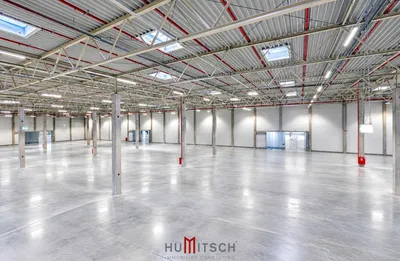 Gewerbeimmobilie mieten in Baden – 16 000 m² – Bild 3 von 5