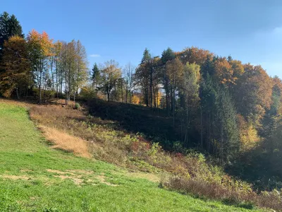 Grundstück kaufen in Leibnitz – 15 041 m², € 392.000 – Bild 9 von 18