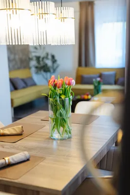 2-Zimmer-Wohnung mieten in Villach Land – 65 m², € 1.300 – Bild 7 von 8