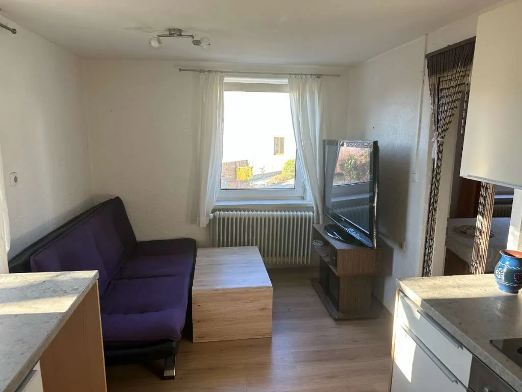 Wohnung – Seewalchen am Attersee, Moos - Ansicht 2