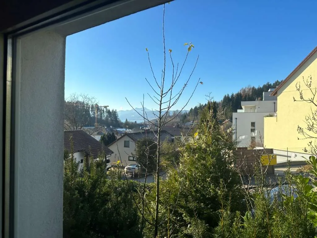 Wohnung – Seewalchen am Attersee, Moos - Ansicht 3