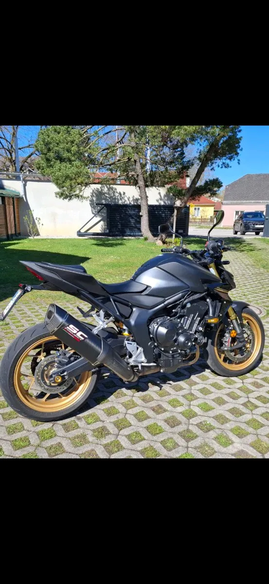 Honda Hornet