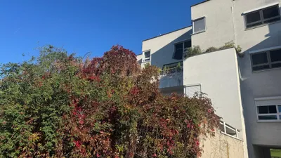 3-Zimmer-Wohnung kaufen in Urfahr-Umgebung – 78,4 m², € 349.000 – Bild 3 von 20